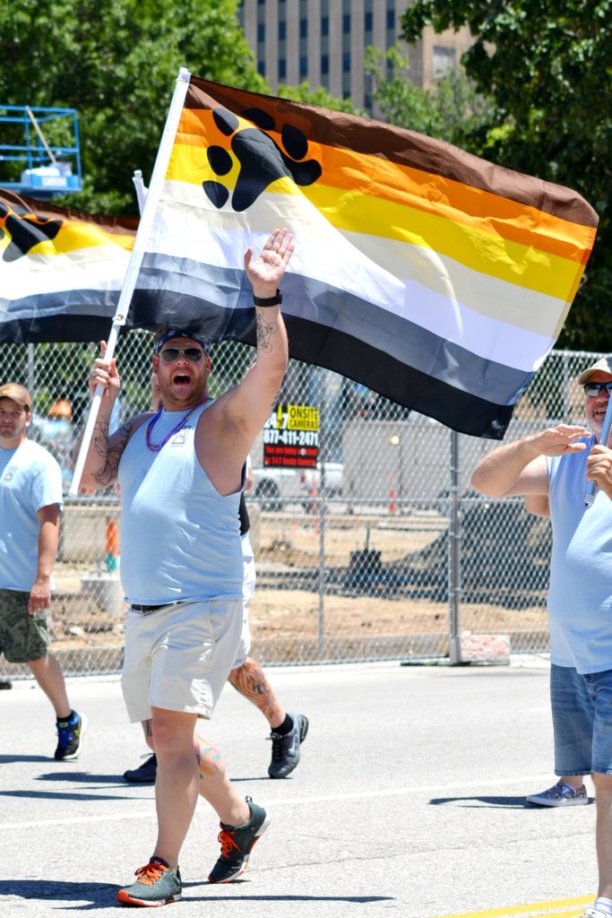 St. Louis Pride Parade Bear Flag