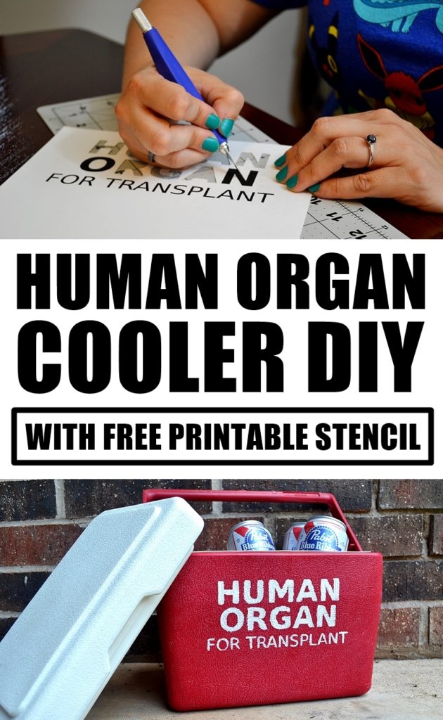 DIY Human Organ Cooler