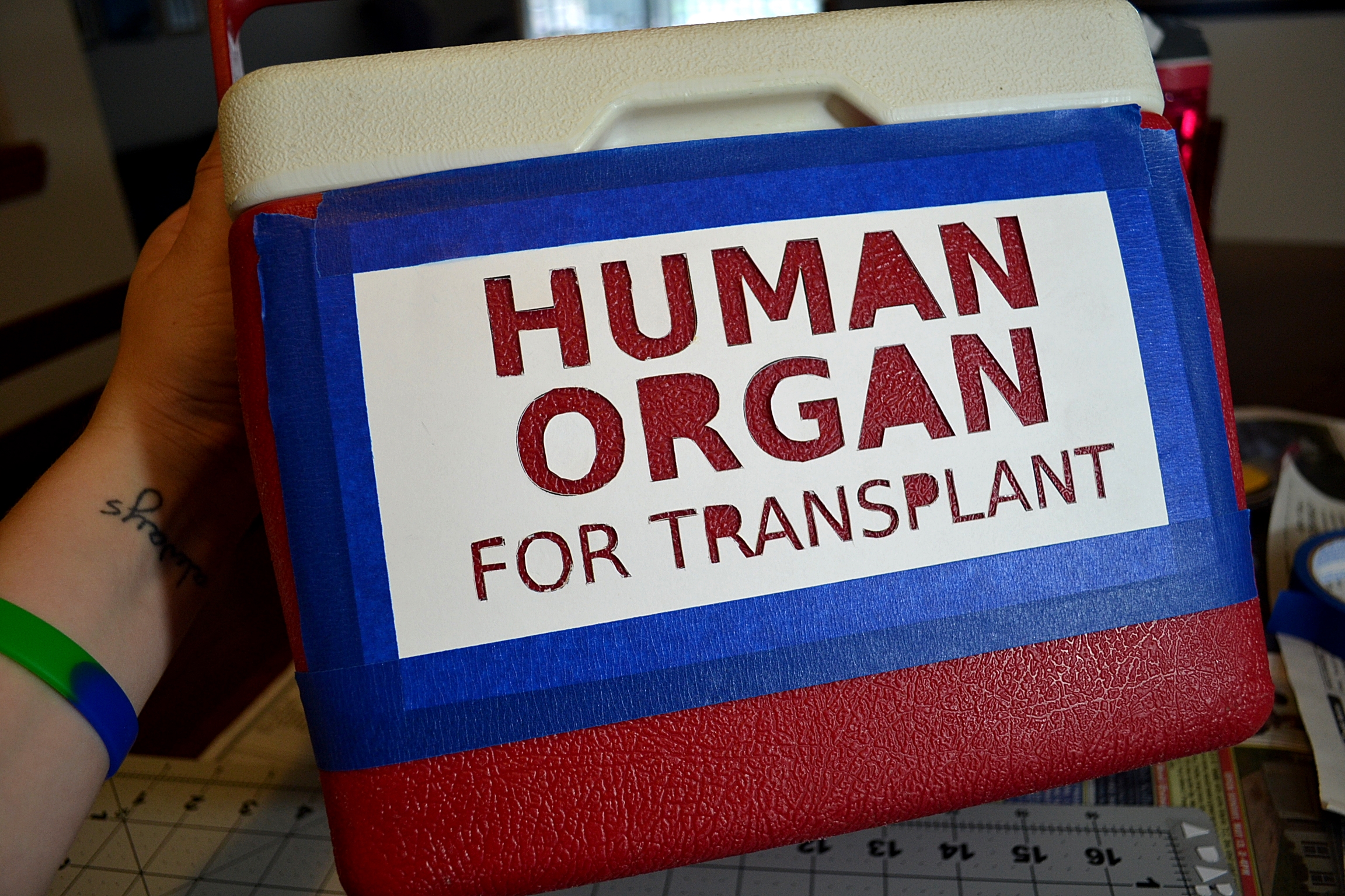 DIY Human Organ Cooler