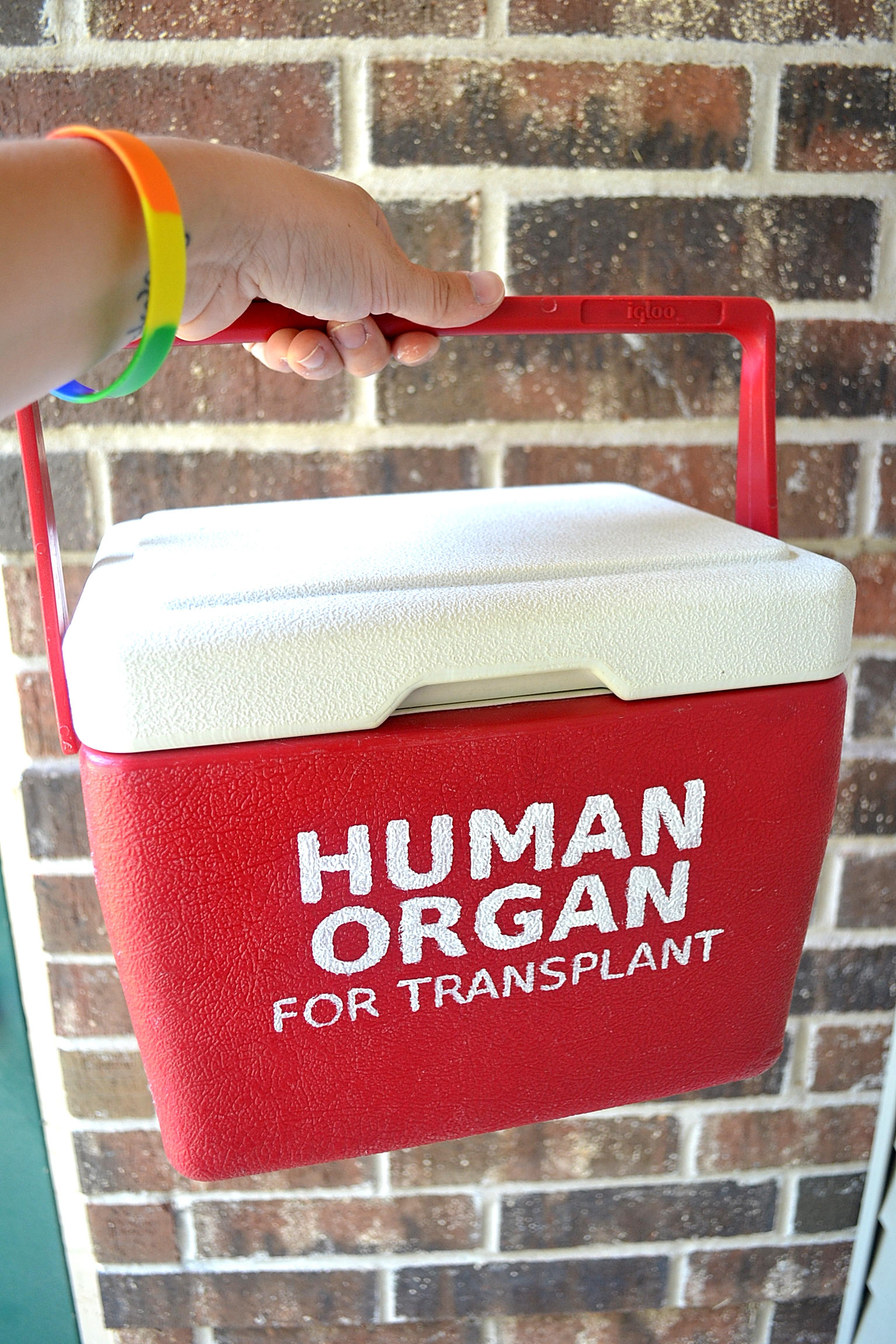 DIY Human Organ Cooler