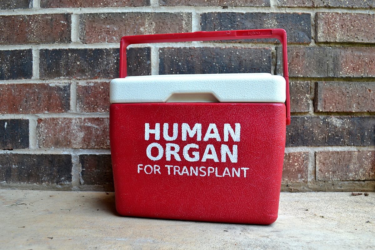 DIY Human Organ Cooler