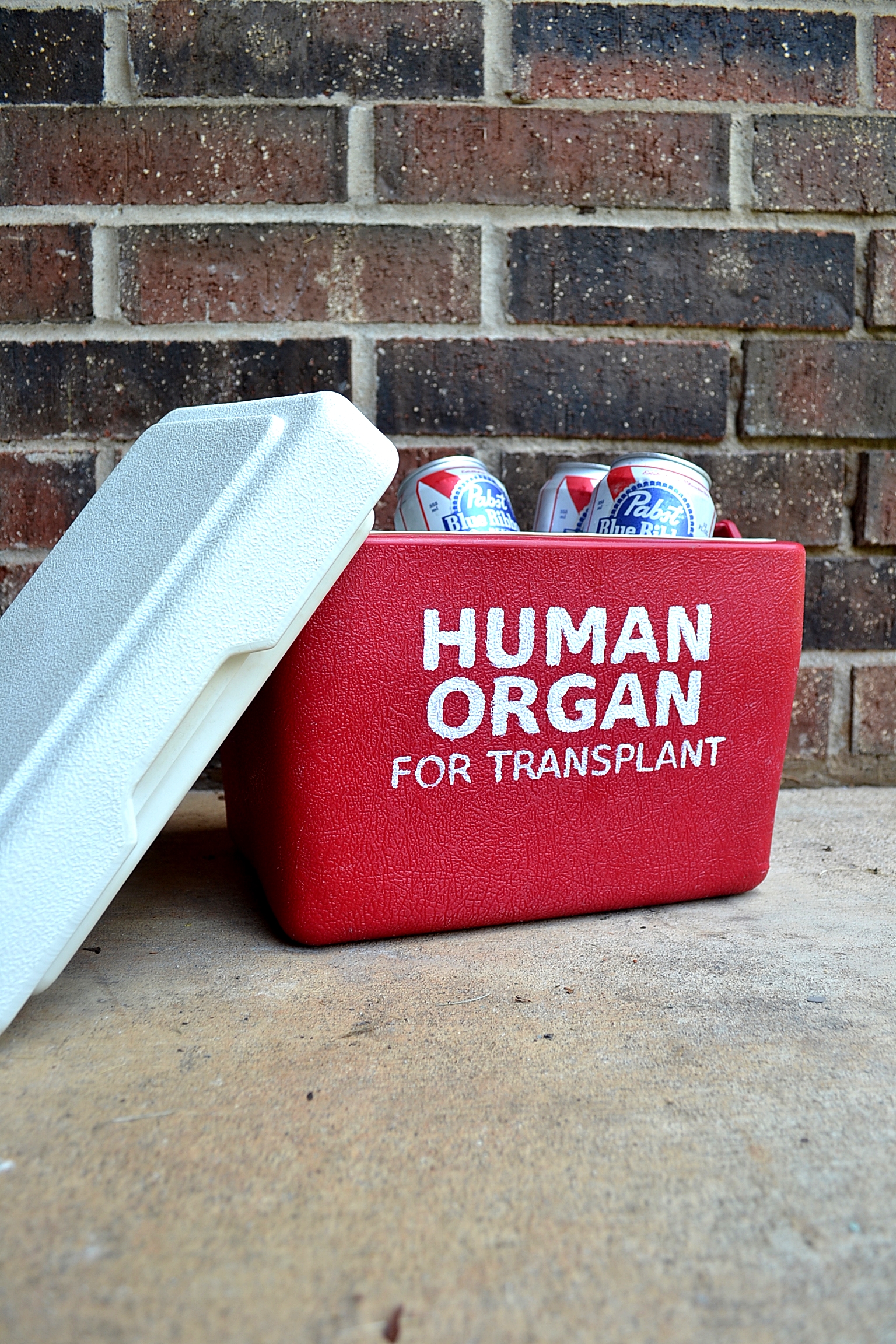 DIY Human Organ Cooler