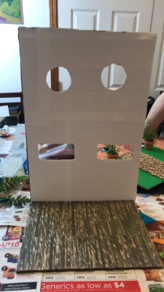 Cardboard house for rats