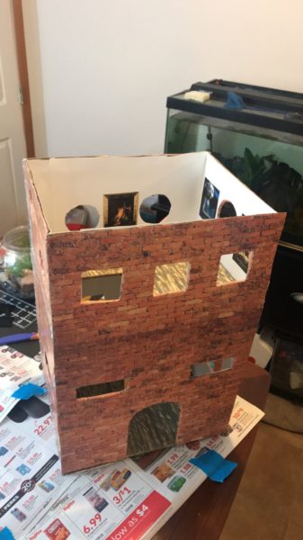 Cardboard house for rats