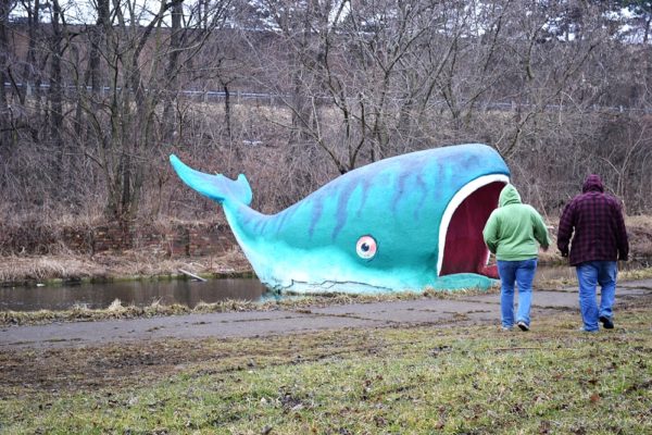 Willy the Whale at Mother Goose Land