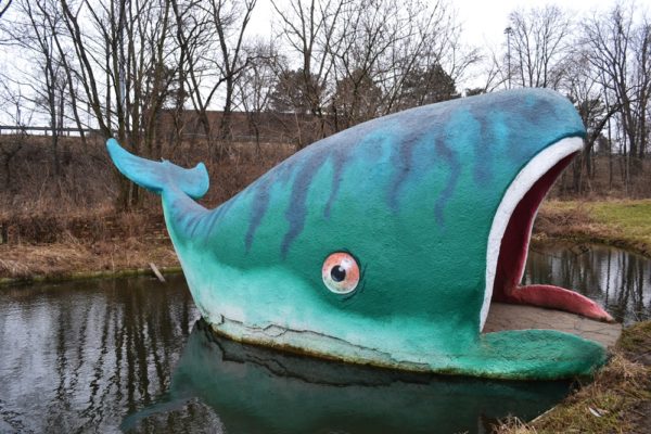 Willy the Whale at Mother Goose Land