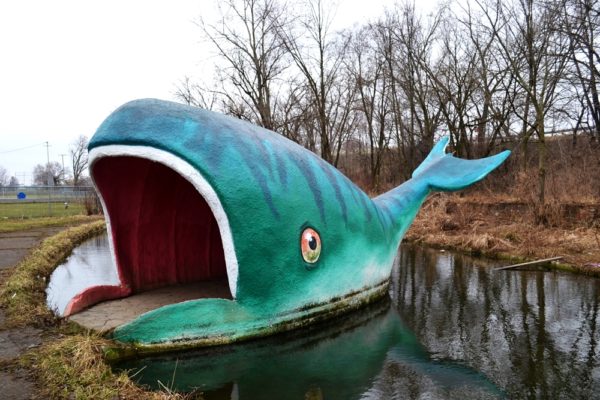 Willy the Whale at Mother Goose Land