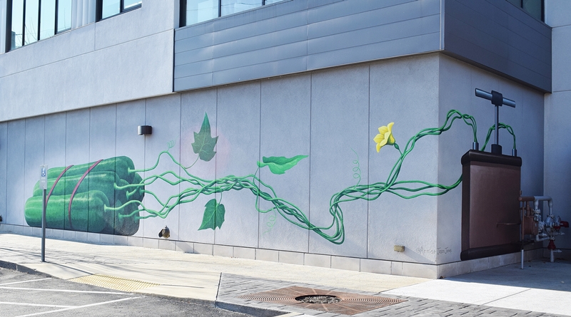 Mural on the side of a gray building, giant cucumbers in a bundle with vines leaving them that lead to an old fashioned dynamite detonator