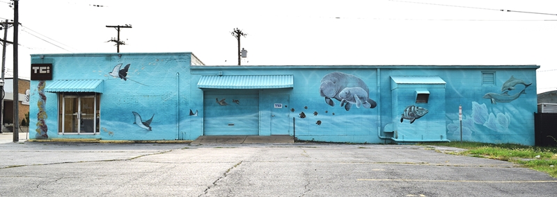 Large underwater mural on the side of a building