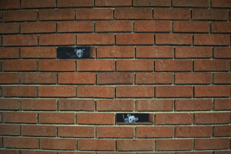 Small animals painted on to bricks on a brick wall