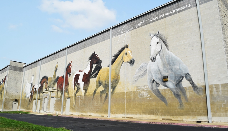 Large two story horses painted on the back of a building