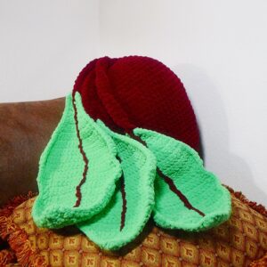 Beet Pillow, Handmade, Ready To Ship, Free Shipping